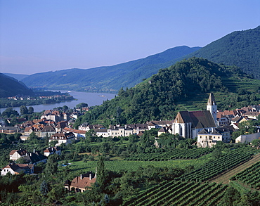 Vineyards and Danube River (Donau River), Spitz, Wachau, Austria, Europe