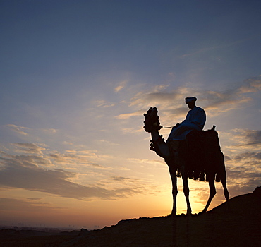 Man on camel at sunrise, Giza, Egypt, North Africa, Africa