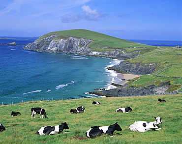 Slea Head, Dingle Peninsula, County Kerry, Munster, Republic of Ireland, Europe