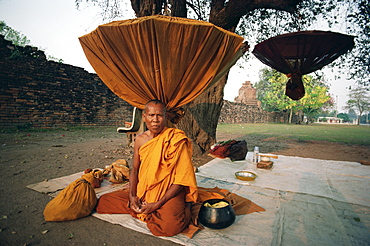 Monk sitting under tree near Wat Phra Sri Samphet, Ayutthaya, Thailand, Southeast Asia, Asia