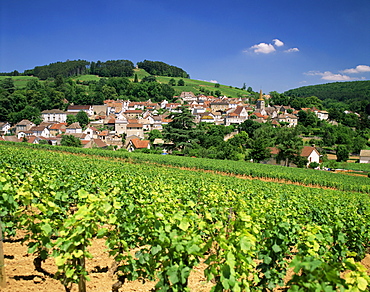 Village and vineyards, Pernand Verglesses, Burgundy, France, Europe