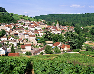 Village and vineyards, Pernand Verglesses, Burgundy, France, Europe