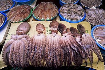 Octopus displayed for sale, Jagalchi Market, Busan, South Korea, Asia