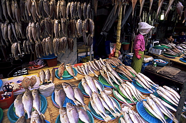 Fresh fish stall, Jagalchi Market, Busan, South Korea, Asia