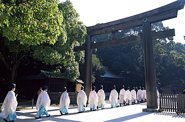 Priests walking through the entrance gate to Meiji Shrine, Tokyo, Honshu, Japan, Asia