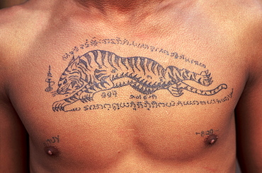 Tattoos of tiger on man's chest, Thailand, Southeast Asia, Asia