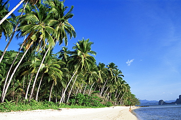 Tropical beach, Bascuit Bay, El Nido, Palawan, Philippines, Southeast Asia, Asia