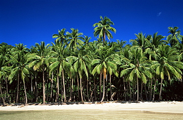 Tropical beach, Bascuit Bay, El Nido, Palawan, Philippines, Southeast Asia, Asia