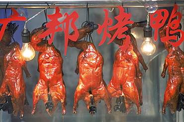 Roast duck hanging in restaurant window, Shanghai, China, Asia