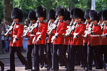 Trooping The Colour, London, England, United Kingdom, Europe