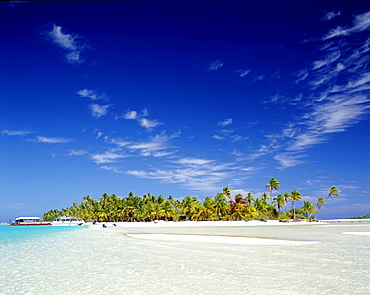 Atoll, palm trees and tropical beach, Aitutaki Island, Cook Islands, Polynesia, South Pacific, Pacific