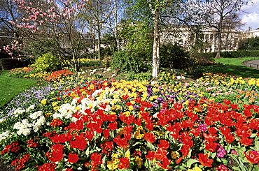 Regents Park, London, England, United Kingdom, Europe