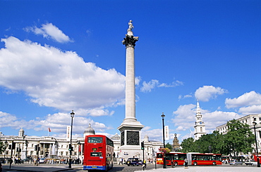 Nelsons Column, Trafalgar Square, London, England, United Kingdom, Europe