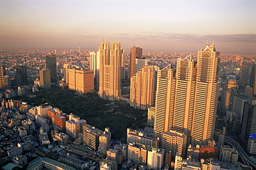 Shinjuku area skyline with Tokyo Gas Buildings and Tokyo City Hall in the foreground, Shinjuku, Tokyo, Japan, Asia