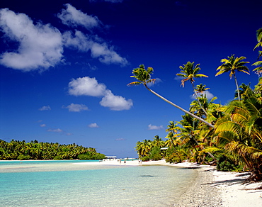 Atoll, palm trees and tropical beach, Aitutaki Island, Cook Islands, Polynesia, South Pacific, Pacific