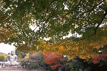 The Great Buddha with autumn leaves, Daibutsu, Kamakura, Japan, Asia