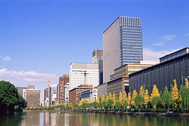 Marunouchi and Otemachi Business Area skyline with autumn leaves, Tokyo, Japan, Asia