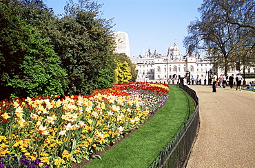 Spring flowers, St. James's Park, London, England, United Kingdom, Europe