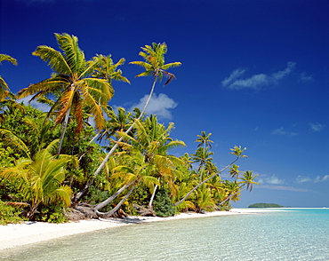 Atoll, palm trees and tropical beach, Aitutaki Island, Cook Islands, Polynesia, South Pacific, Pacific