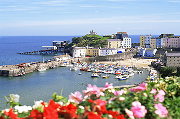 Tenby, Pembrokeshire, Wales, United Kingdom, Europe