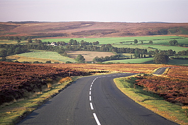 Typical view in the North Yorkshire Moors National Park, Yorkshire, England, United Kingdom, Europe