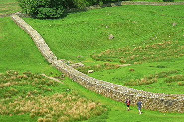 View near Housesteads Roman Fort, Hadrians Wall, UNESCO World Heritage Site, Northumberland, England, United Kingdom, Europe