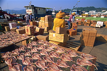 Drying fish and waterfront port activity, Cheung Chau Island, Hong Kong, China, Asia