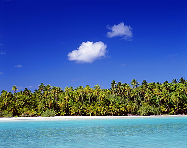 Atoll, palm trees and tropical beach, Aitutaki Island, Cook Islands, Polynesia, South Pacific, Pacific