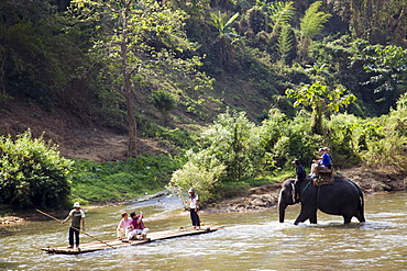 Tourists river rafting on Maetang River, Chiang Mai, Thailand, Southeast Asia, Asia