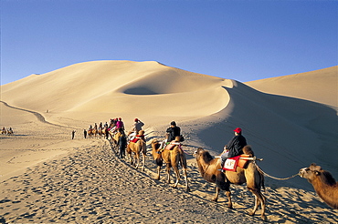 Tourists riding camels at Mount Mingshan, Dunhuang, Gansu Province, China, Asia