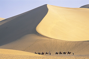 Tourists riding camels at Mount Mingshan, Dunhuang, Gansu Province, China, Asia