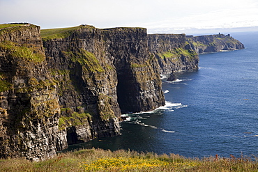 Cliffs of Moher, County Clare, Munster, Republic of Ireland, Europe