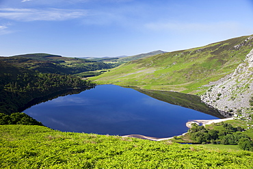 Lake Tay, Wicklow Mountains National Park, County Wicklow, Leinster, Republic of Ireland, Europe