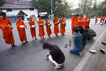 Monks receiving offerings of food, Chiang Mai, Thailand, Southeast Asia, Asia