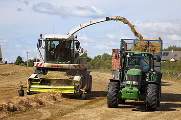 Hay harvesting, Ballyvaughan, County Clare, Munster, Republic of Ireland, Europe