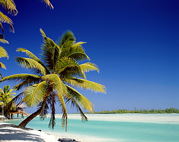 Atoll, palm trees and tropical beach, Aitutaki Island, Cook Islands, Polynesia, South Pacific, Pacific