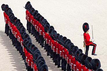 Trooping the Colour Ceremony at Horse Guards Parade, Whitehall, London, England, United Kingdom, Europe