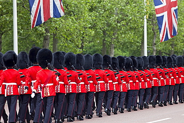 Changing of the Guard, London, England, United Kingdom, Europe