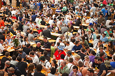 Typical beer tent scene, Oktoberfest, Munich, Bavaria, Germany, Europe