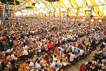 Typical beer tent scene, Oktoberfest, Munich, Bavaria, Germany, Europe