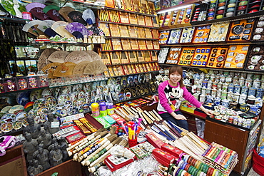 Souvenir shop, Hong Qiao Pearl Market, Beijing, China, Asia