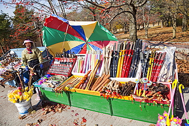 Souvenir vendor, Bulguksa Temple, Gyeongju, South Korea, Asia