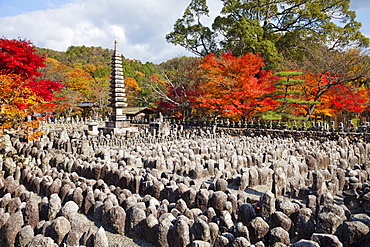 Autumn leaves, Adashino Nembutsu-ji Temple, Arashiyama, Kyoto, Japan, Asia