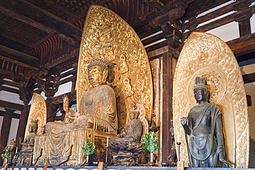 Buddha statues in Tokondo (Eastern Golden Hall), Kofukuji Temple, Nara, UNESCO World Heritage Site, Japan, Asia