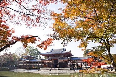 Byodoin Temple, Uji, UNESCO World Heritage Site, Kyoto, Japan, Asia