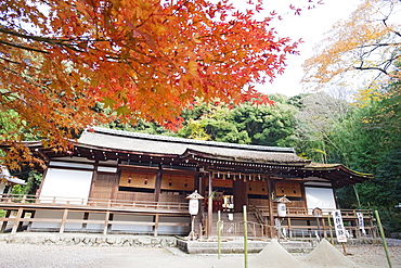 Ujigami Shrine, Uji, UNESCO World Heritage Site, Kyoto, Japan, Asia