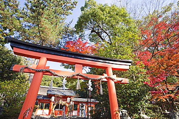 Uji Shrine, Uji, UNESCO World Heritage Site, Kyoto, Japan, Asia