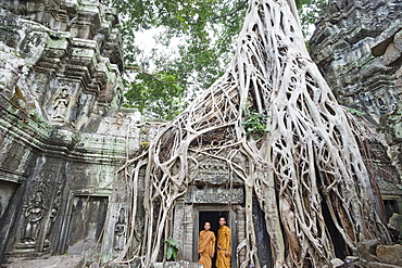 Ta Prohm Temple, Angkor, UNESCO World Heritage Site, Siem Reap, Cambodia, Indochina, Southeast Asia, Asia