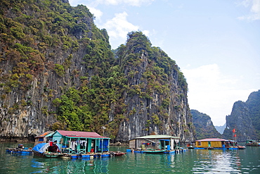 Floating Village, Halong Bay, UNESCO World Heritage Site, Vietnam, Indochina, Southeast Asia, Asia