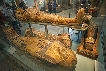 Egyptian mummies, British Museum, Bloomsbury, London, England, United Kingdom, Europe